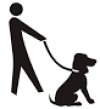 dog walkers & pet sitters