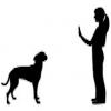 dog, cat, horse training and obedience